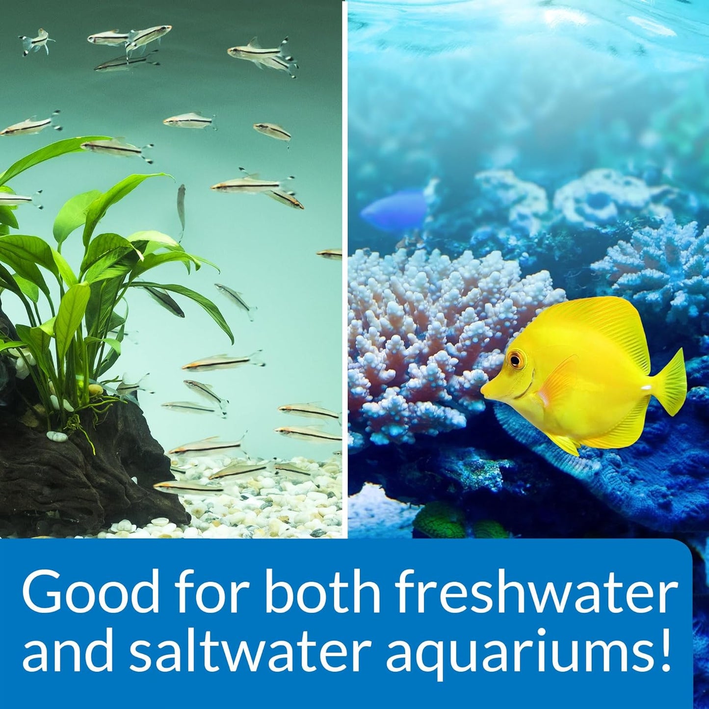 STRESS ZYME Aquarium Cleaning Solution for Freshwater and Saltwater, 16 oz