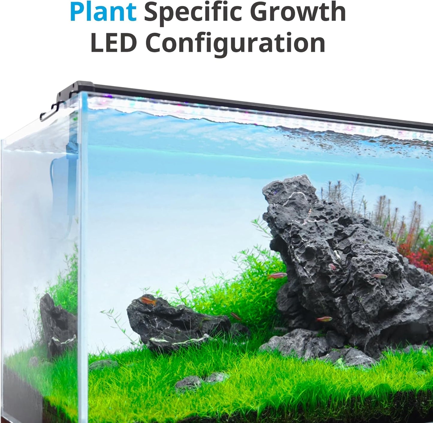 Classicled Plus LED Aquarium Light with Timer, 32 Watts for 48 to 54 Inch Aquariums, Featuring Daylight and Moonlight Cycles